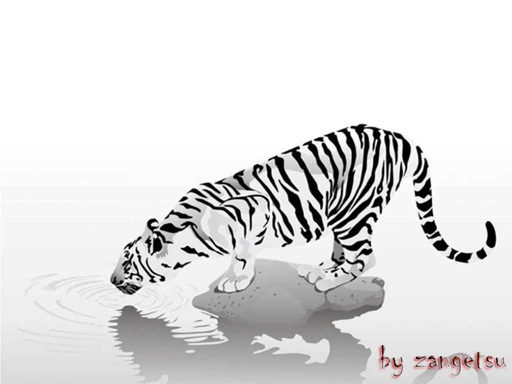 Tigre du projet Z51-Project